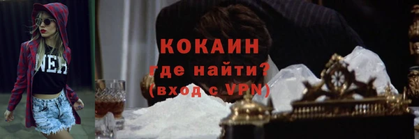 ПСИЛОЦИБИНОВЫЕ ГРИБЫ Бородино