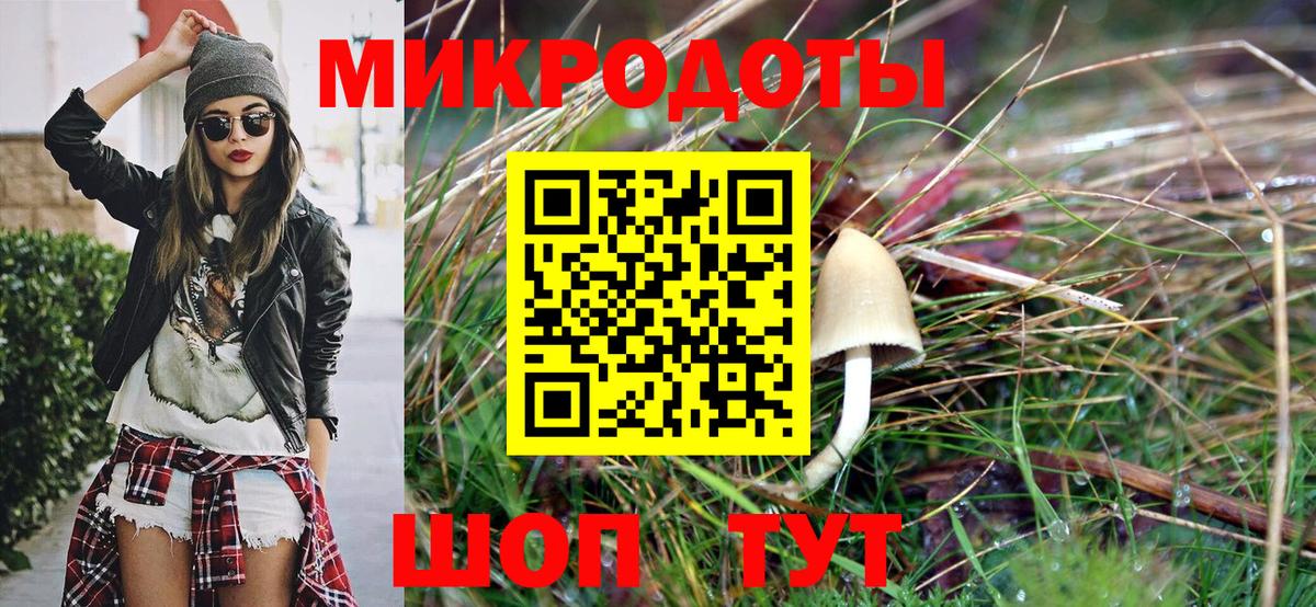 Великий Устюг  Псилоцибиновые грибы прущие грибы  Псилоцибиновые грибы мицелий  Вход с VPN 