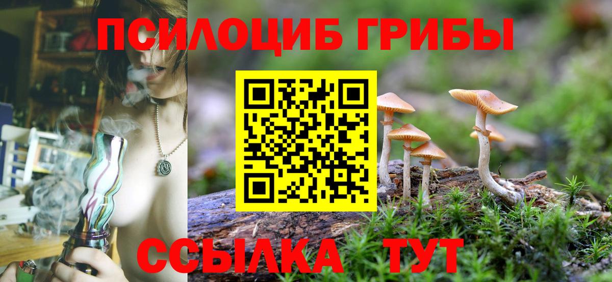 Псилоцибиновые грибы MAGIC MUSHROOMS Великий Устюг